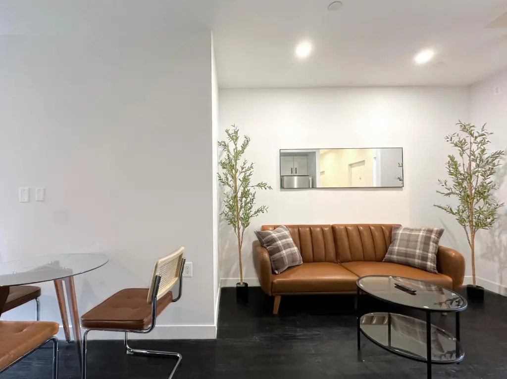 287-Vanderbilt-Ave-3-Livingroom1